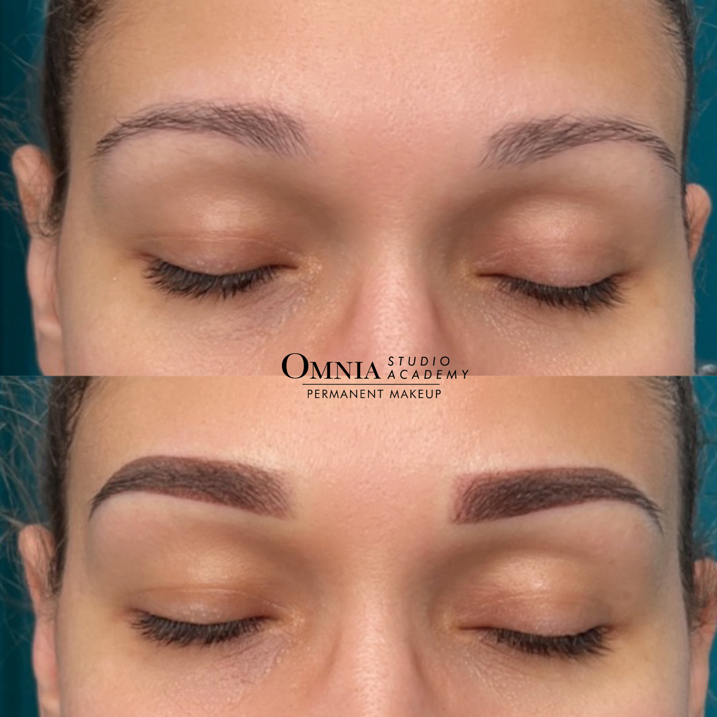 Powder Brows (Online Course)