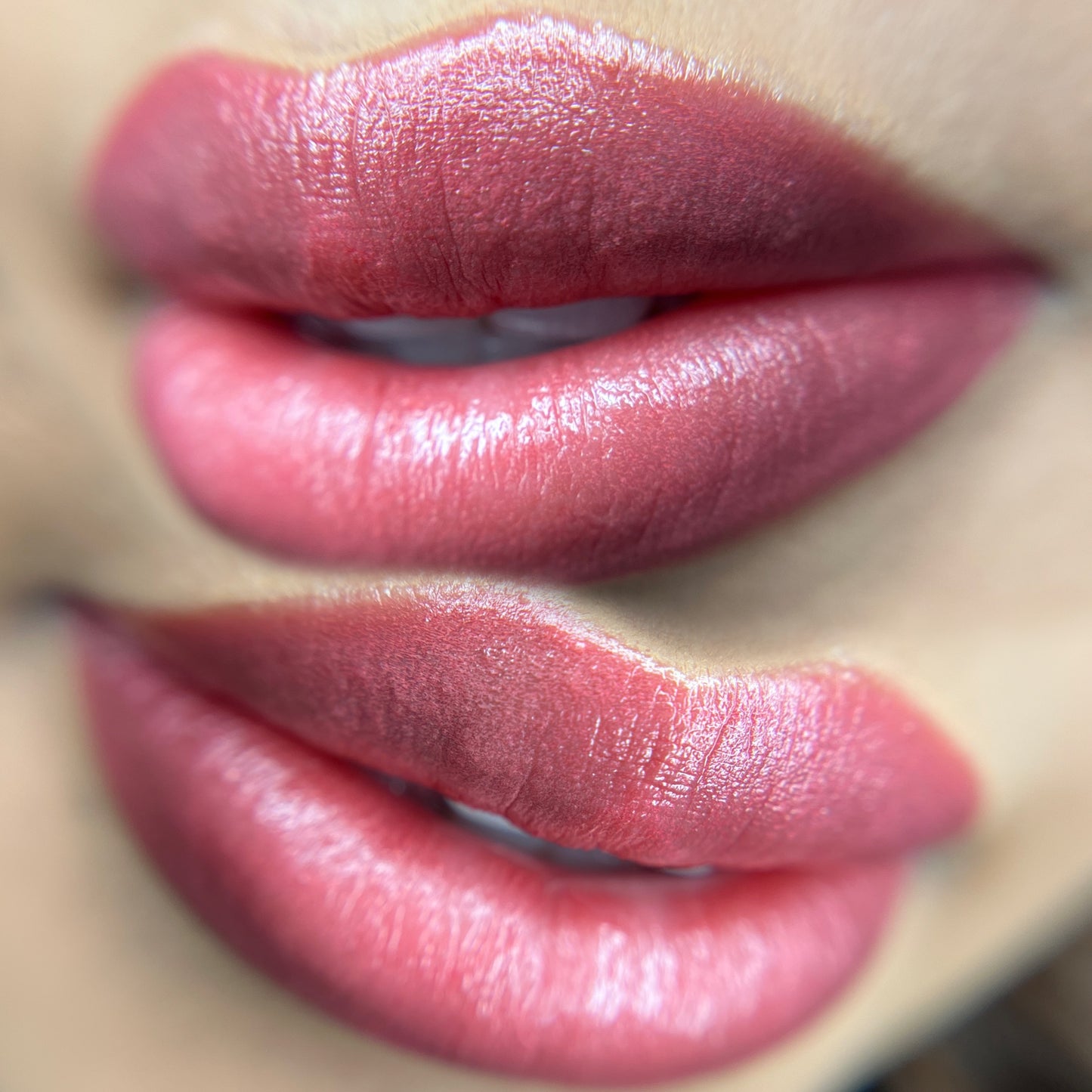 Lip Blush Mastery- In Person $1,999 | Deposit $500