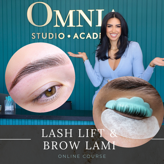 Lash Lift & Brow Lamination Course (ONLINE)