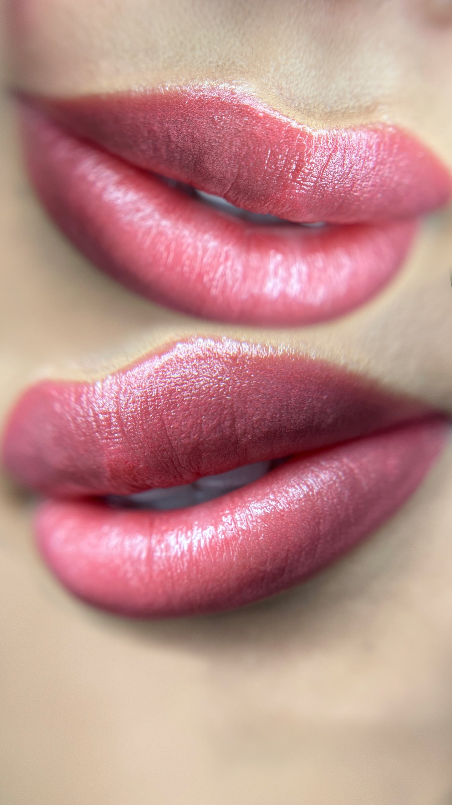 Lip Blush Mastery- In Person $1,999 | Deposit $500