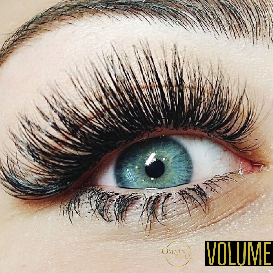 Hybrid & Volume Lash Class $1200 | Deposit $300